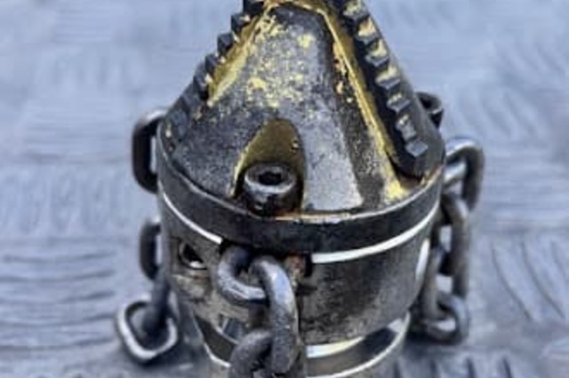 「木の根」が原因の排水管詰まり抜きの画像